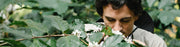 L'immagine mostra una ragazzo che cammina immerso in un parco.